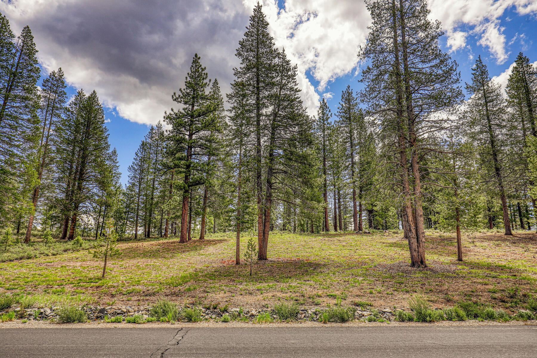 11080 Ghirard Road Truckee, CA 96161 - Photo 4 of 21 Gallery Image 4