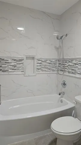 a bathroom with a toilet and a bathtub