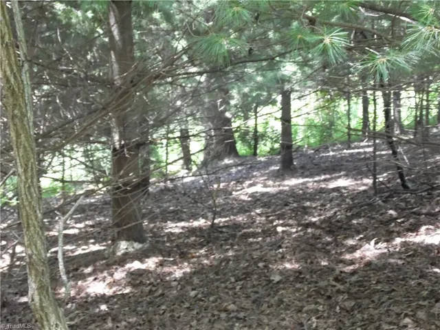 $39,500 | Tbd Hickory View Drive, Sparta, NC 28675