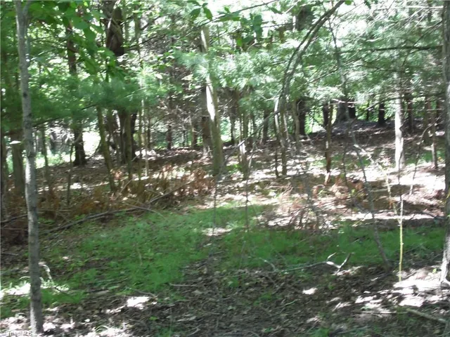 $39,500 | Tbd Hickory View Drive, Sparta, NC 28675