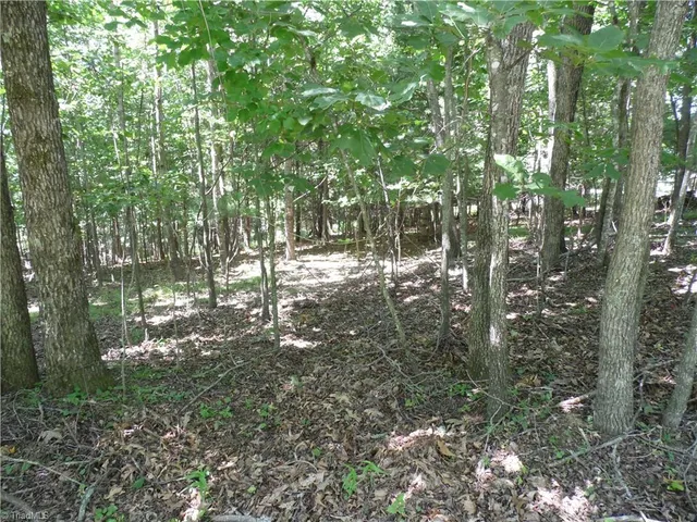 $39,500 | Tbd Hickory View Drive, Sparta, NC 28675