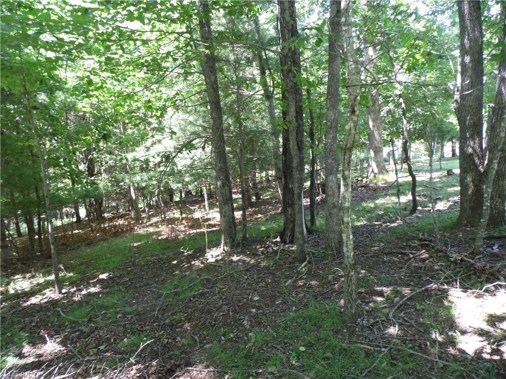 Tbd Hickory View Drive Sparta, NC 28675 - Photo 8 of 12