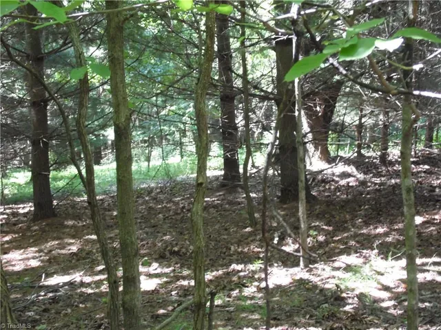 $39,500 | Tbd Hickory View Drive, Sparta, NC 28675