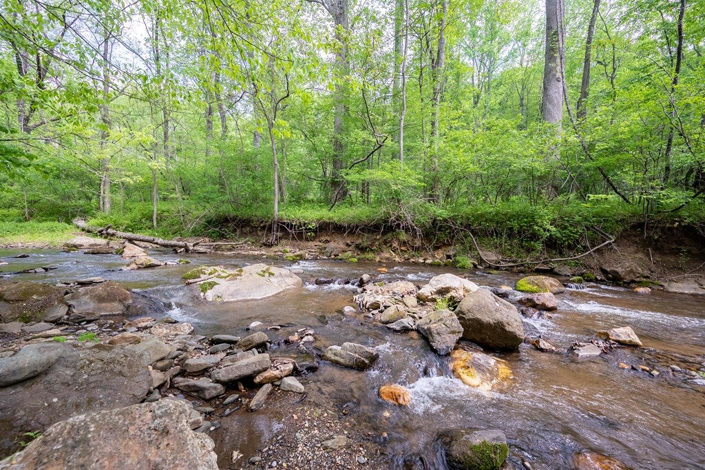 56-acres Runnett Bag Road Ferrum, VA 24088 - Photo 24 of 44 Gallery Image 24