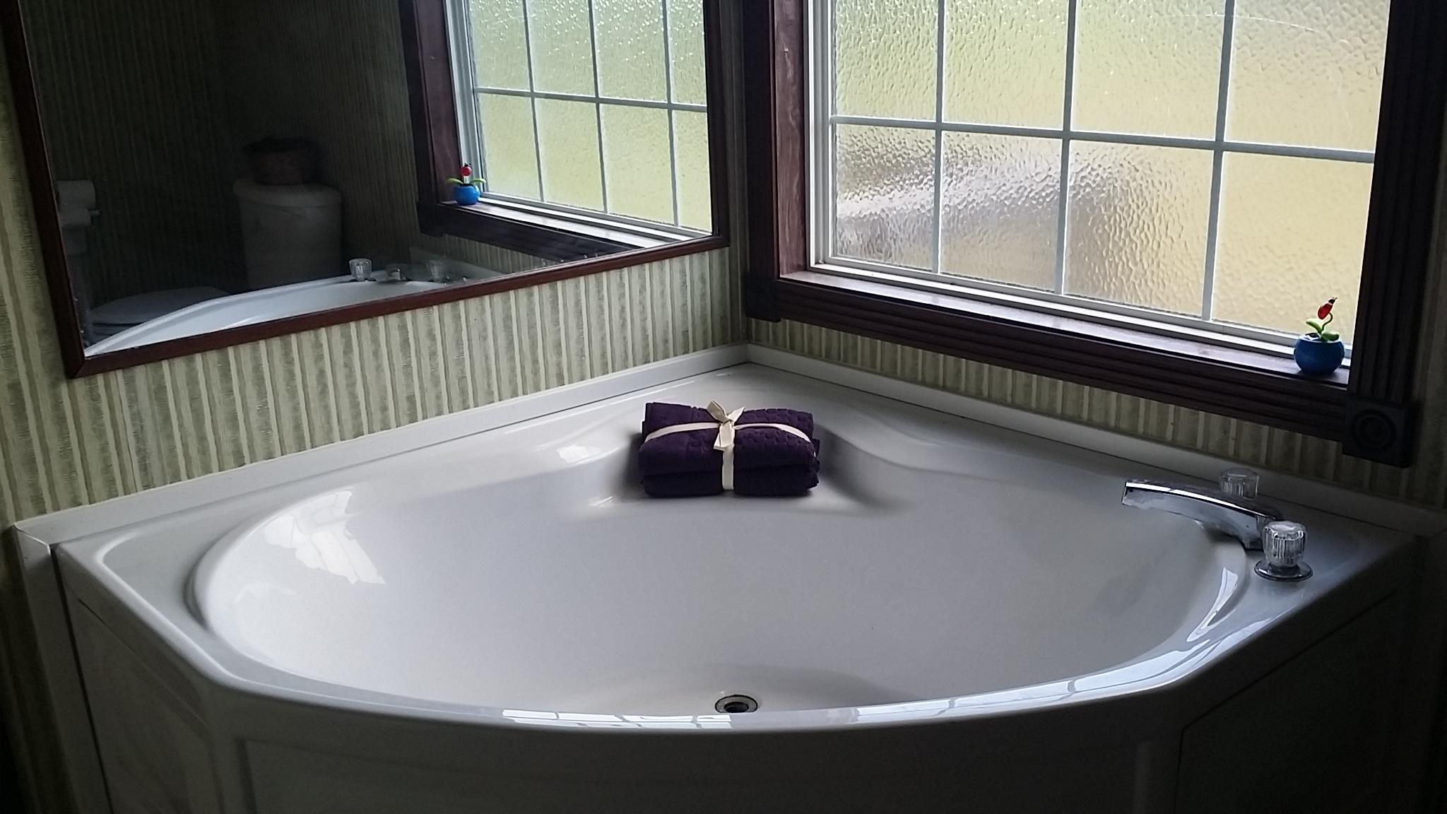 4749 Morganton Road Greenback, TN 37742 - Photo 13 of 25 Garden Tub