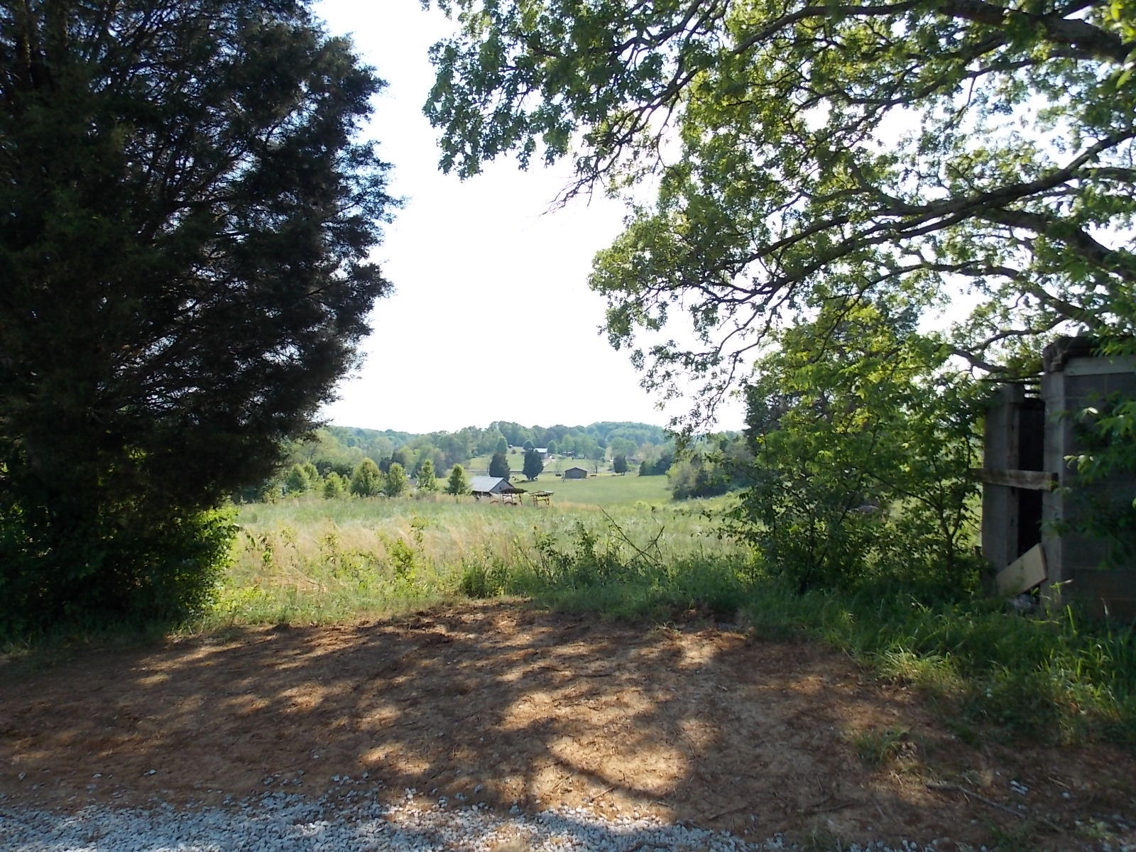 4749 Morganton Road Greenback, TN 37742 - Photo 21 of 25 Views