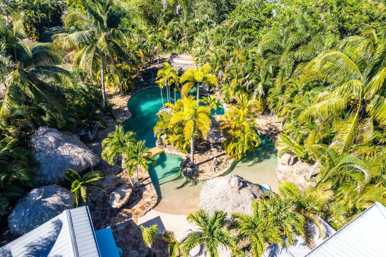5861 Roebuck Road Jupiter, FL 33458 - Photo 63 of 74 a close up of a flower in a garden