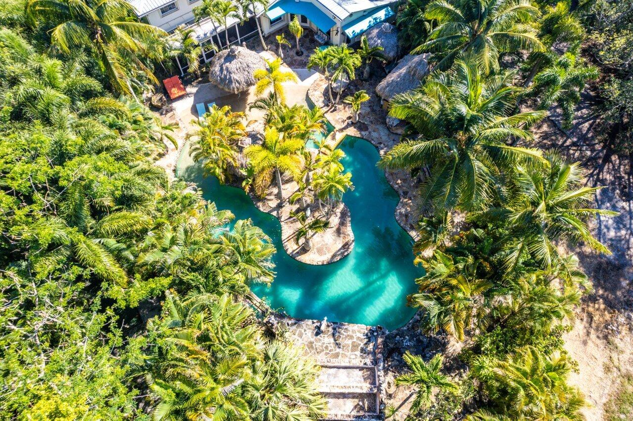 5861 Roebuck Road Jupiter, FL 33458 - Photo 64 of 74 Aerial of Pool