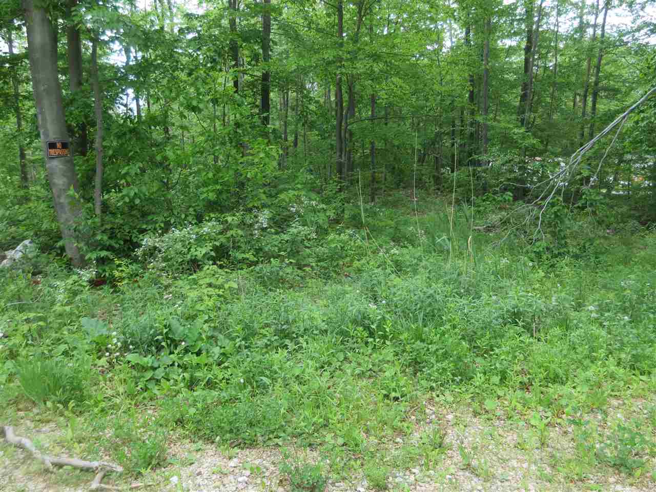 1213 Gore Road, Unit 3 Bennington, VT 05201 - Photo 3 of 9