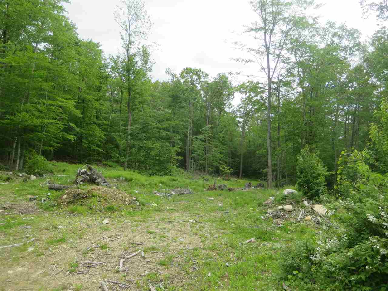 1213 Gore Road, Unit 3 Bennington, VT 05201 - Photo 6 of 9