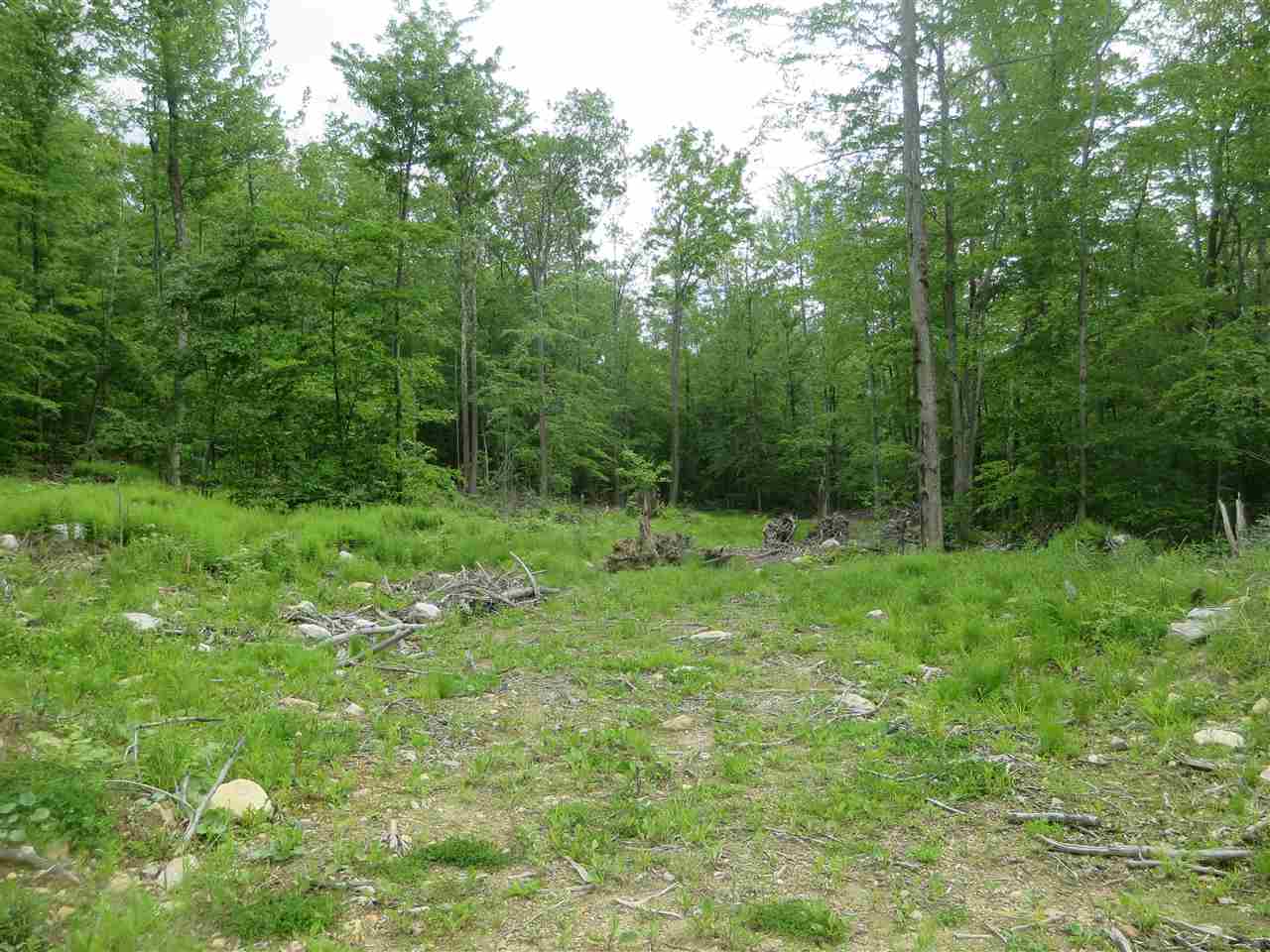 1213 Gore Road, Unit 3 Bennington, VT 05201 - Photo 7 of 9