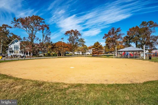 a view of a yard with plants