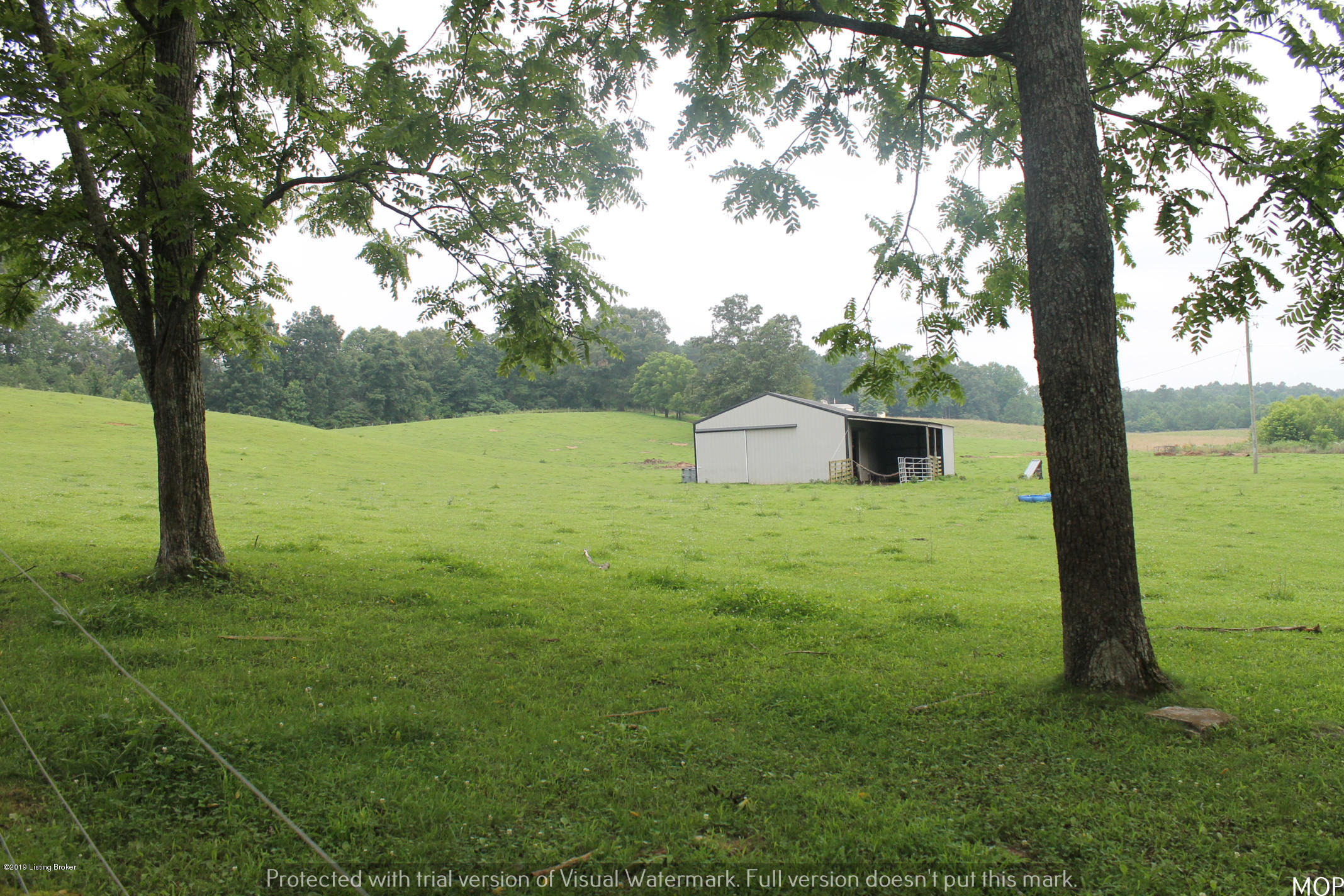 1503 Pikeview Road Magnolia, KY 42757 - Photo 17 of 28 IMG_2236