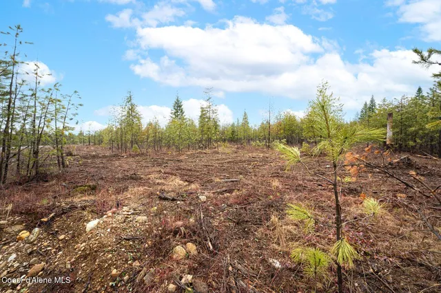 $479,000 | L14-b1 North Mountain View Road, Rathdrum, ID 83858