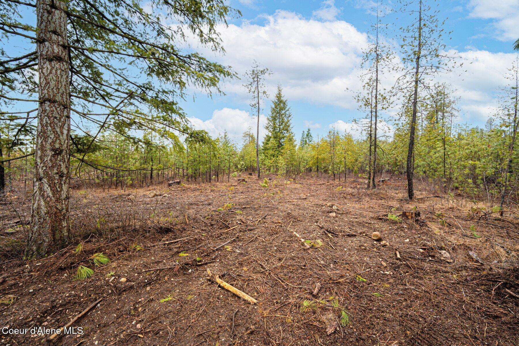 L14-b1 North Mountain View Road Rathdrum, ID 83858 - Photo 5 of 8 Bennett - Ground View