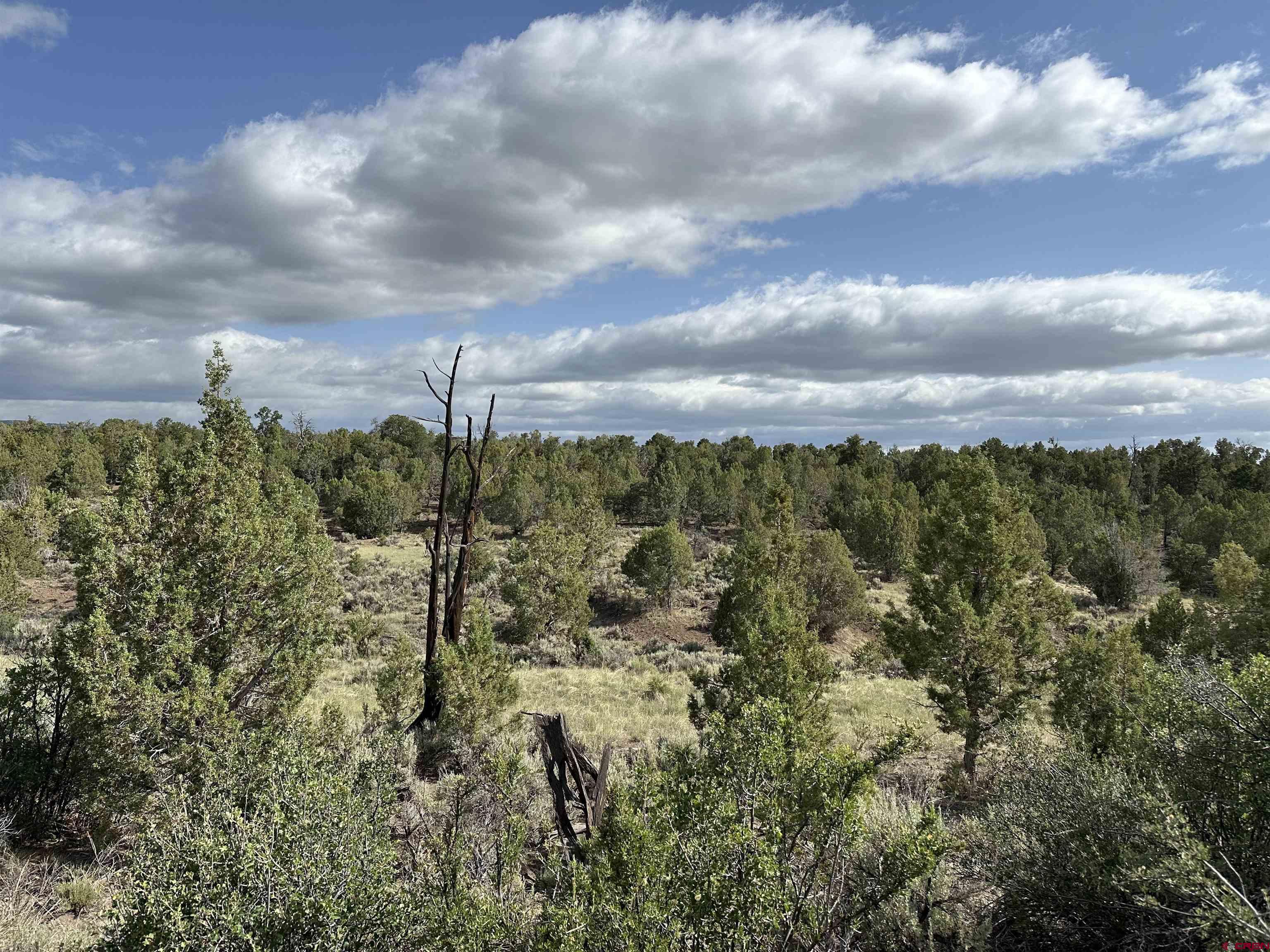 Lot 5 Green Shadows Road Durango, CO 81303 - Photo 3 of 5 Gallery Image 3