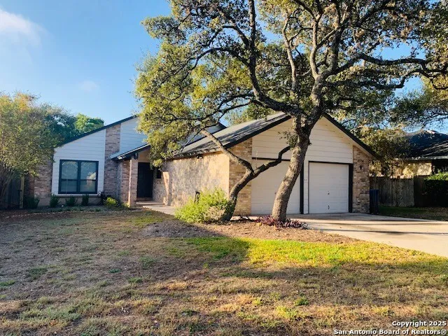 a view of a backyard