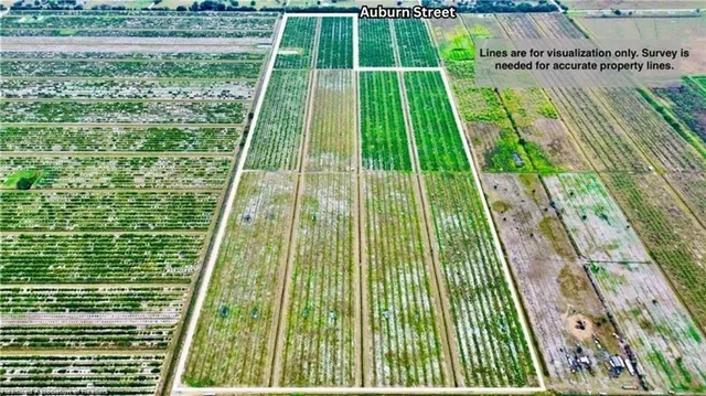 a view of yard with green space