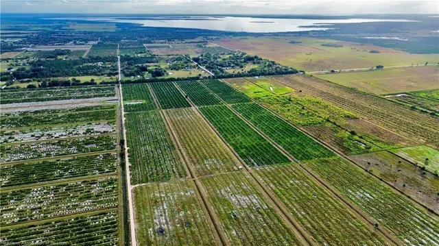 a view of an ocean beach