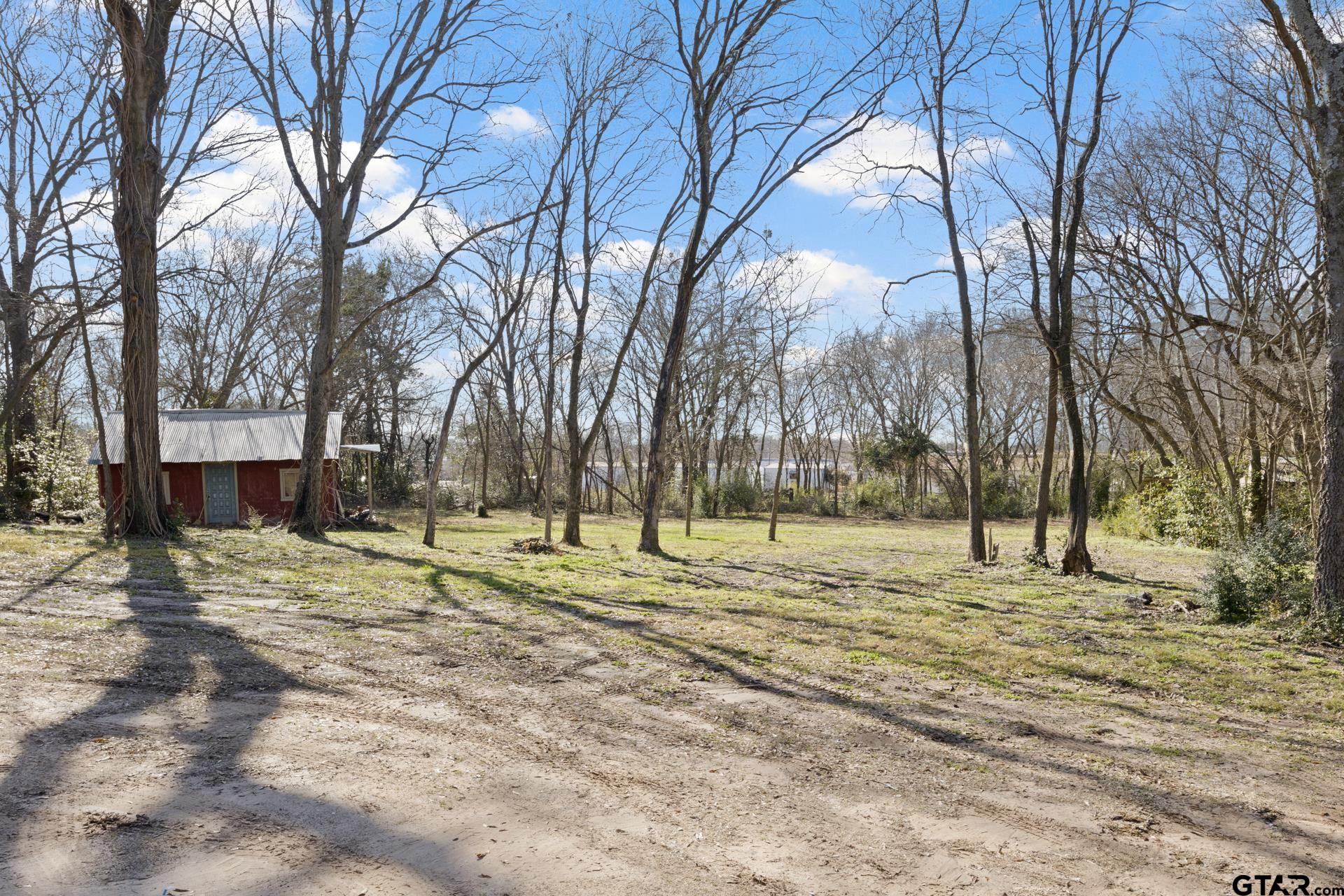 306 Quitman Street Pittsburg, TX 75686 - Photo 31 of 31 a view of a yard with trees
