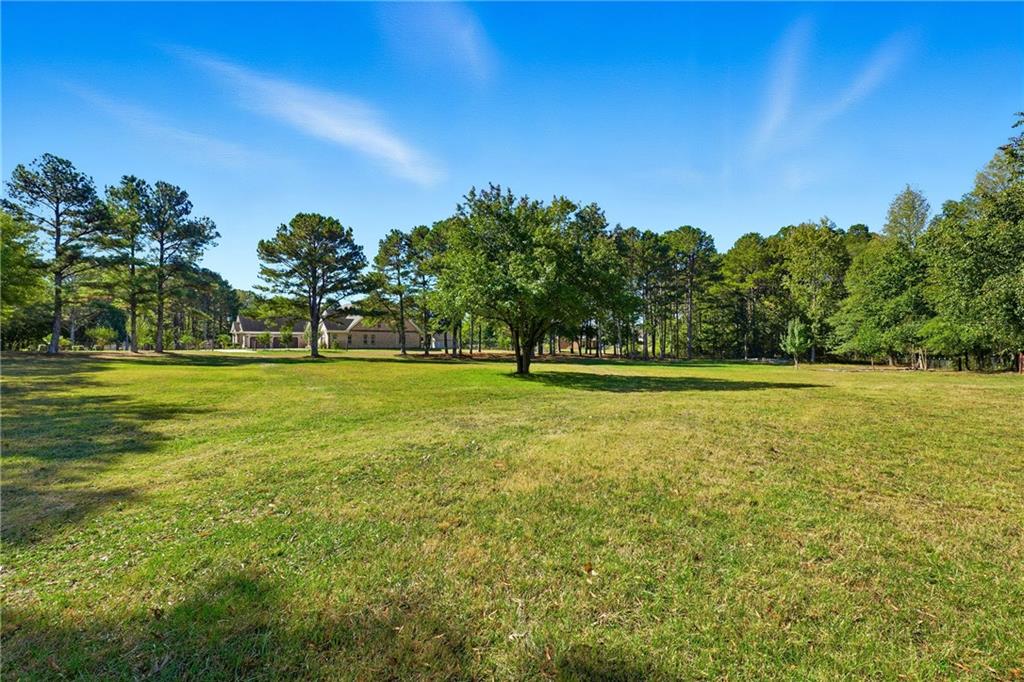 100 Marshas Vineyard Hampton, GA 30228 - Photo 58 of 71 a view of a green field with trees in the background