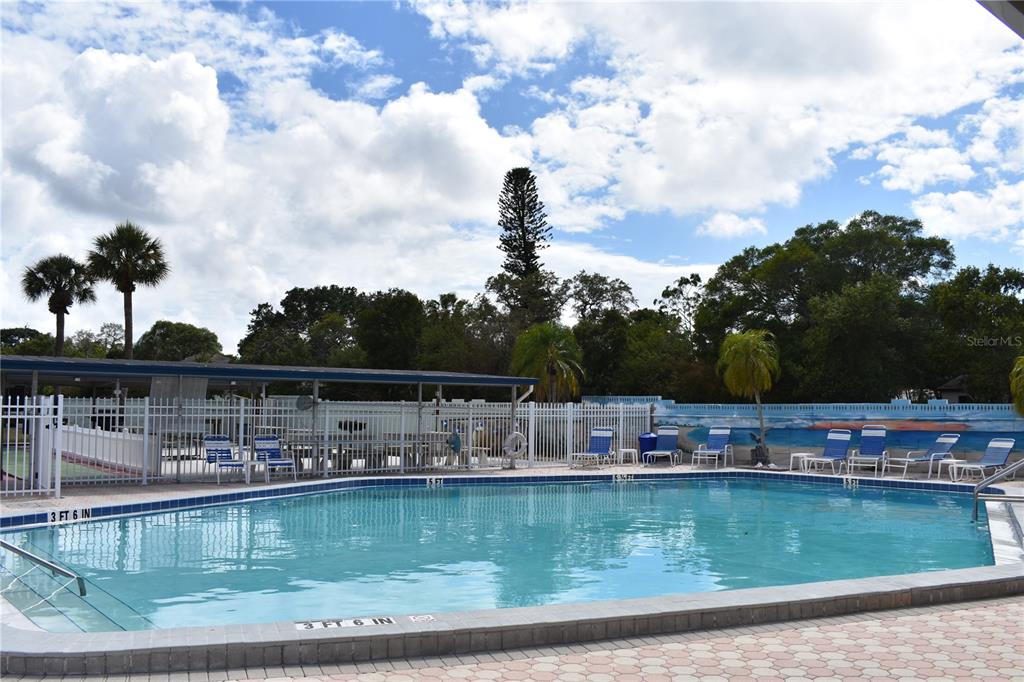 250 Rosery Road Northwest, Unit 264 Largo, FL 33770 - Photo 18 of 18 a view of a lake with boats and trees in the background