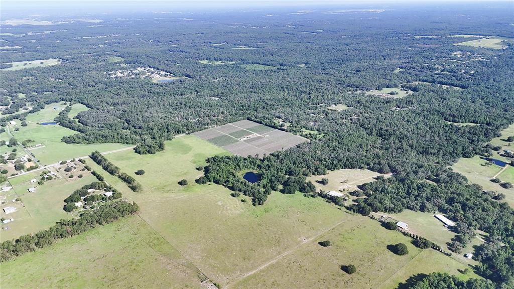 24063 Hayman Road Brooksville, FL 34602 - Photo 90 of 97