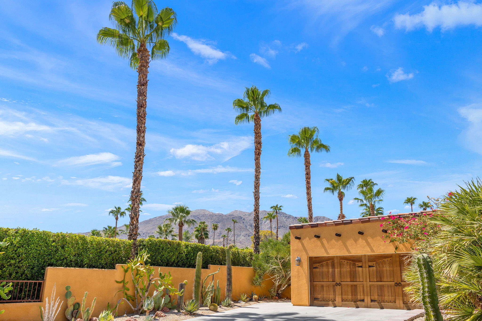 71429 Mirage Road Rancho Mirage, CA 92270 - Photo 27 of 65 a view of a palm tree in the middle of a building