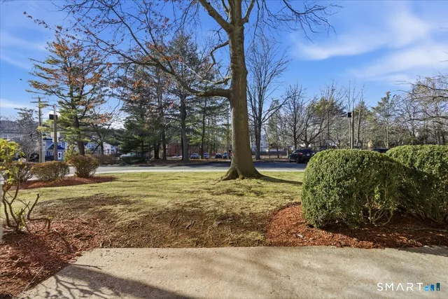 a view of yard with tree in beside