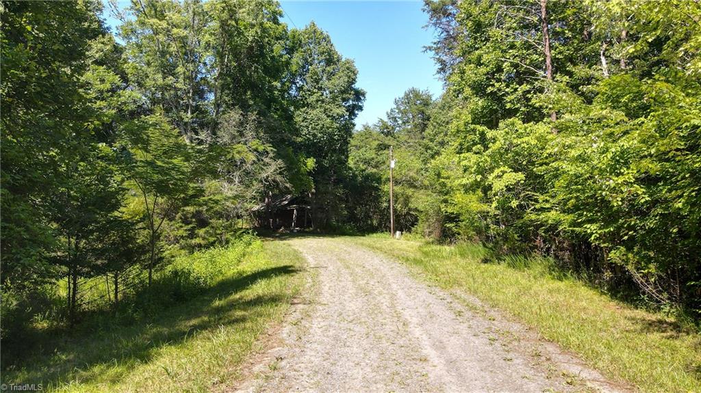 1215 Lucius Beasley Road Westfield, NC 27053 - Photo 1 of 25