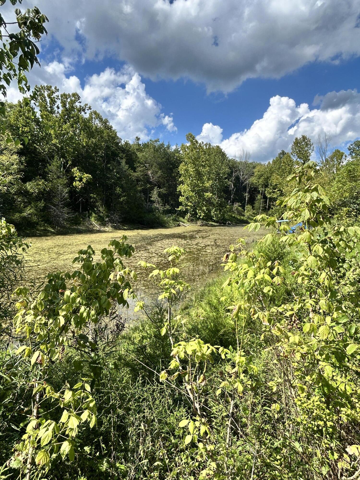 726 Old Brown Road Salvisa, KY 40372 - Photo 37 of 89 Pond at entrance to farm