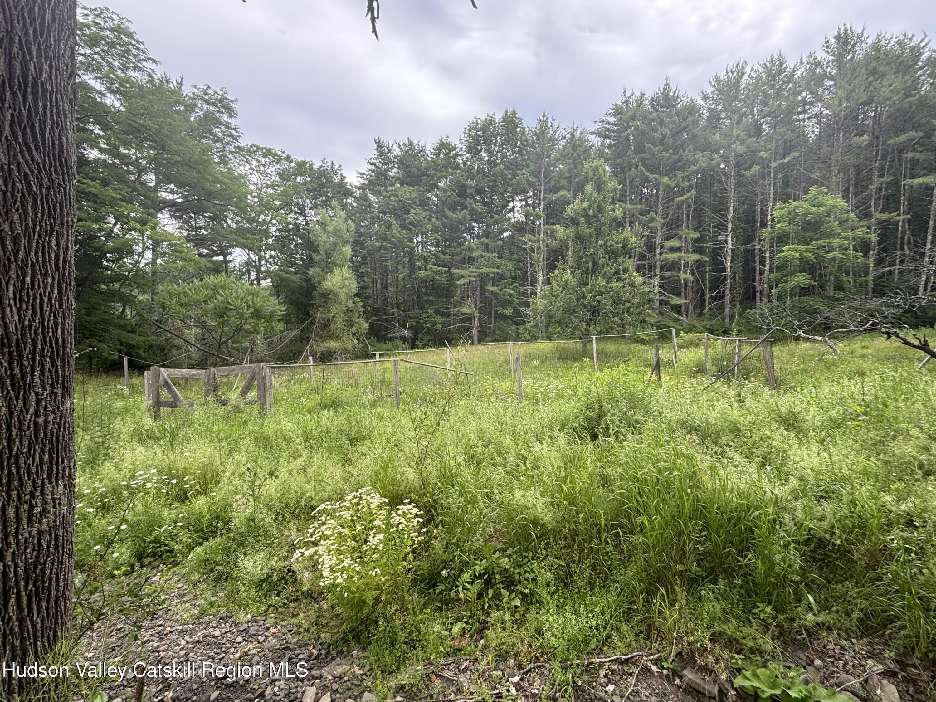 344 Pleasant Valley Road Fultonham, NY 12071 - Photo 21 of 27 Fenced in Garden