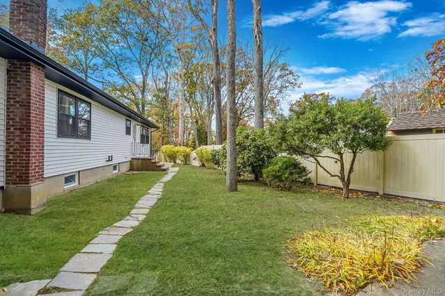 a view of a backyard with plants and large tree