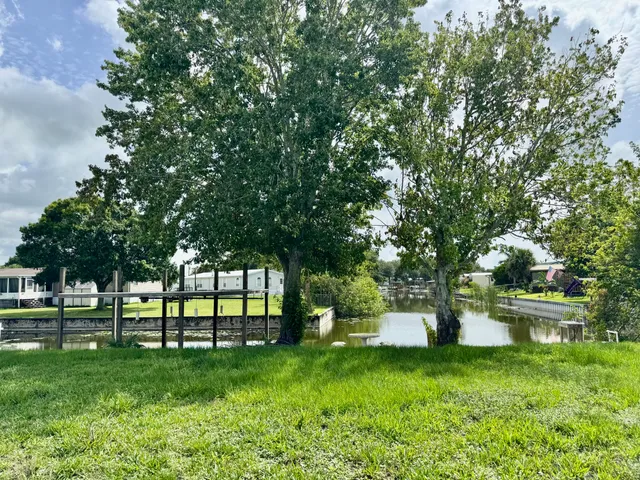 a view of a park with large trees