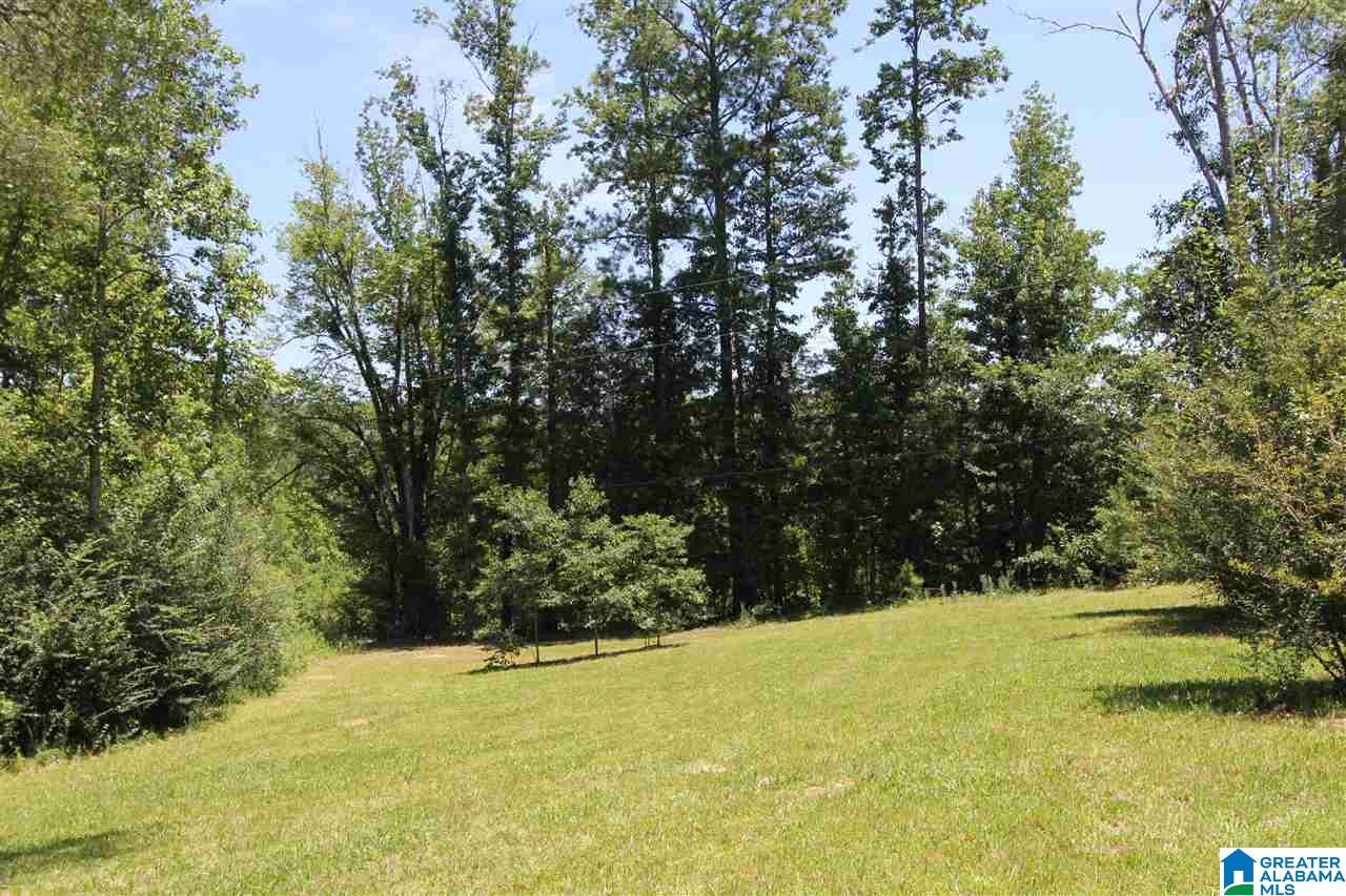 4363 Old Sulphur Springs Road Wellington, AL 36279 - Photo 29 of 37