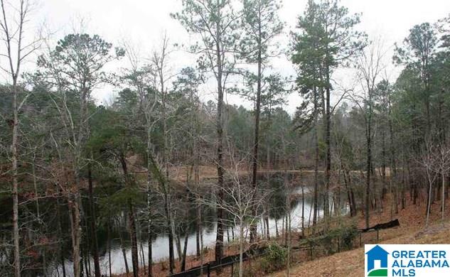 1041 Inverness Cove Way Birmingham, AL 35242 - Photo 28 of 31