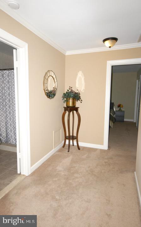 8039 Stillbrooke Road Manassas, VA 20112 - Photo 27 of 63 Gallery Image 27