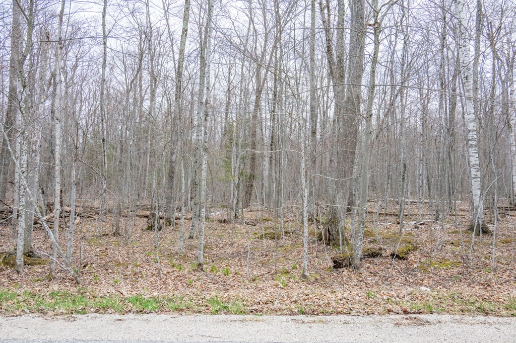 Lot 2 Cottage Road Ellison Bay, WI 54210 - Photo 24 of 30
