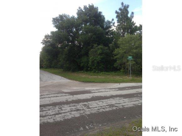 2569 West Rutland Drive Citrus Springs, FL 34434 - Photo 1 of 1 Primary Photo
