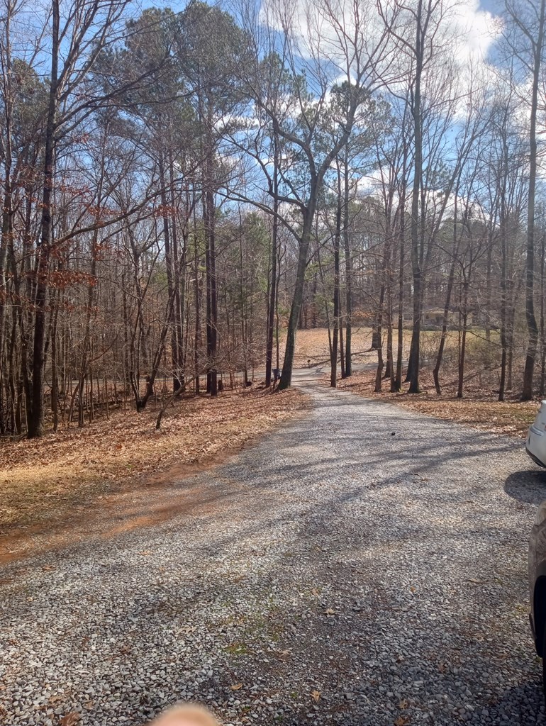 500 Jackson Kinnamon Road Chatsworth, GA 30705 - Photo 18 of 18 Gallery Image 18