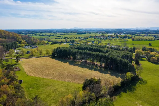 a view of a lake with houses in the back