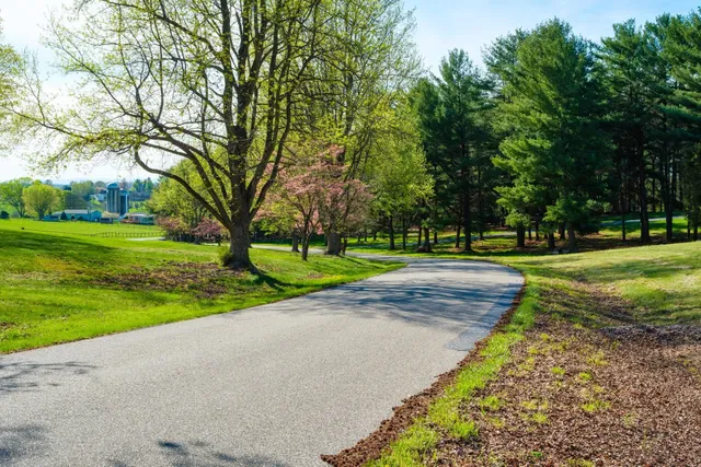 a view of a park with tree s