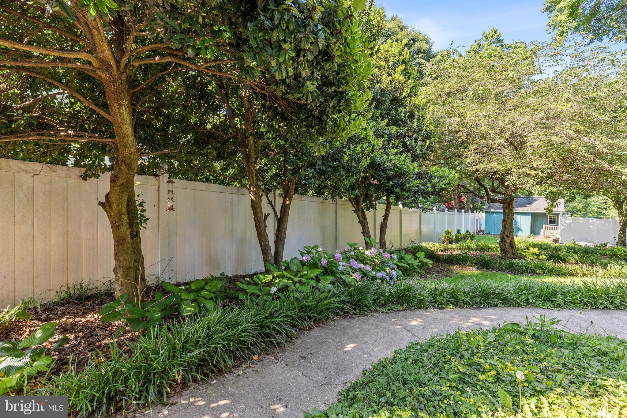 4916 40th Place Hyattsville, MD 20781 - Photo 47 of 48 a view of a yard with plants and a large tree