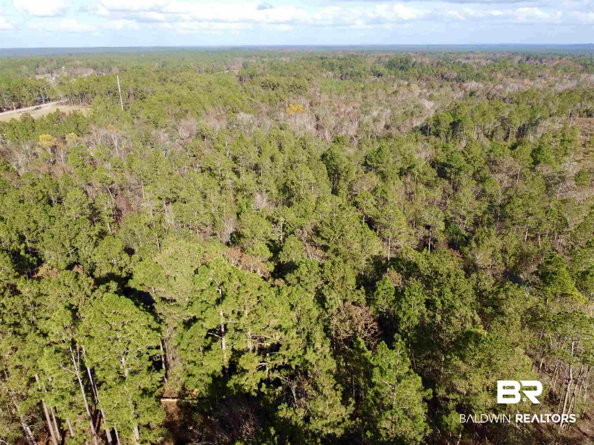 0 County Road 19 Chatom, AL 36518 - Photo 2 of 18