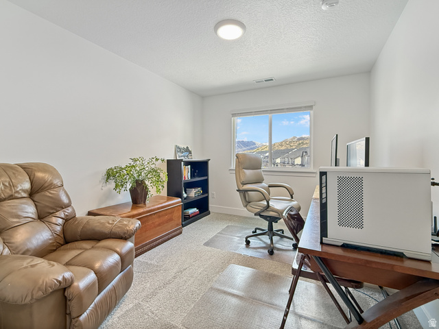 641 Desert Willow Drive Mapleton, UT 84664 - Photo 25 of 41 Office space featuring light carpet and a textured ceiling
