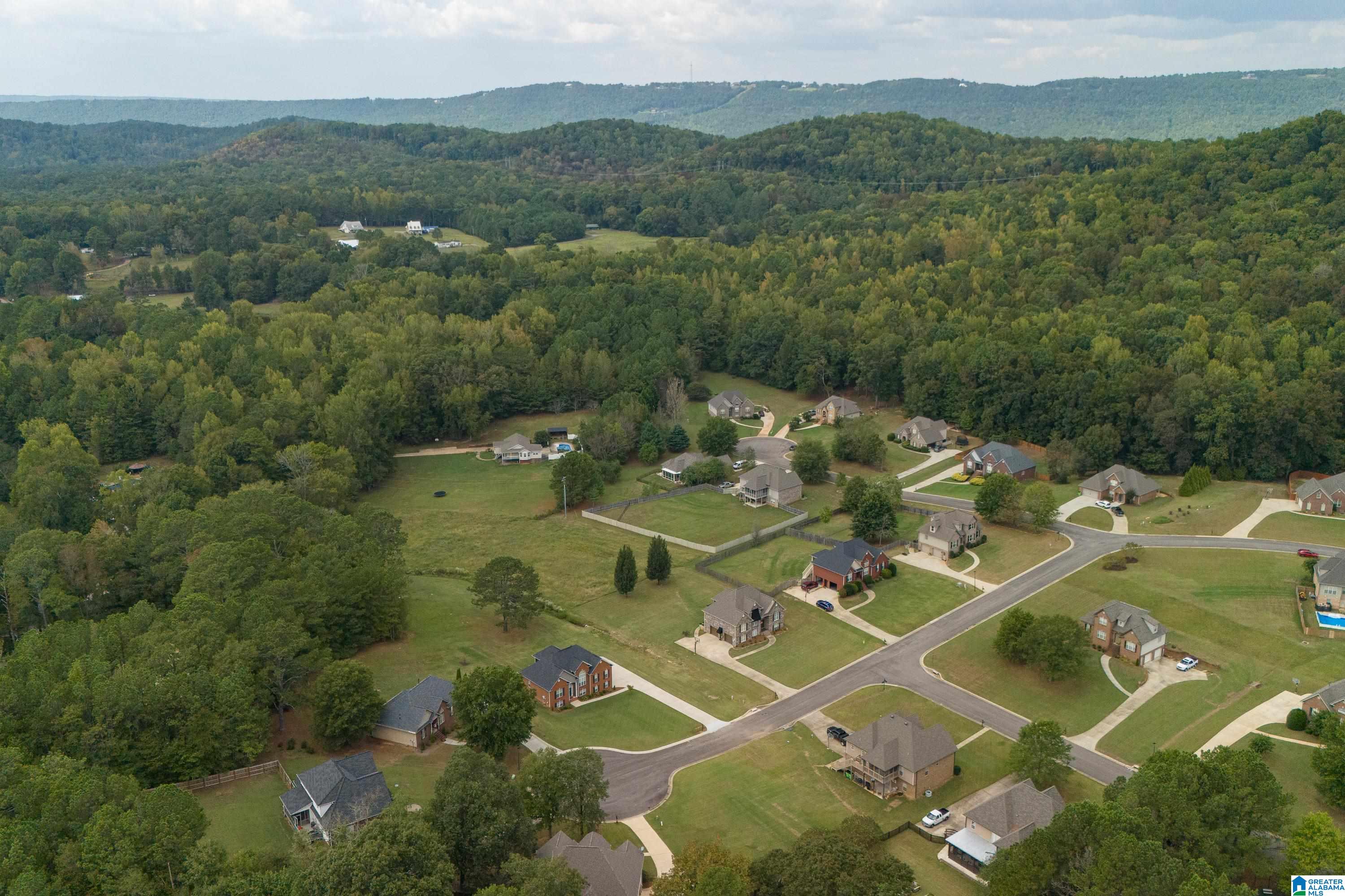 21 Farm Court Springville, AL 35146 - Photo 56 of 67
