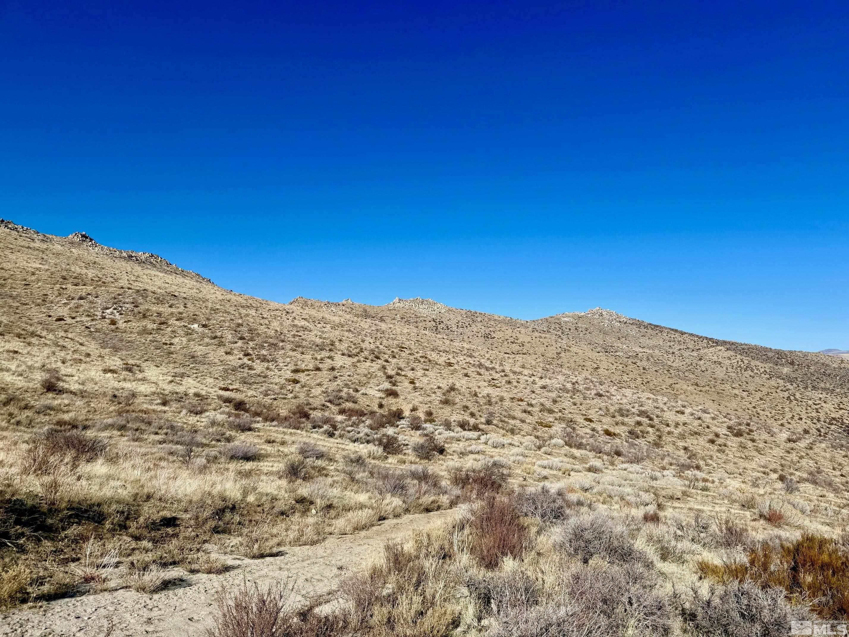 14295 North Red Rock Road Reno, NV 89508 - Photo 9 of 12 Photo 9