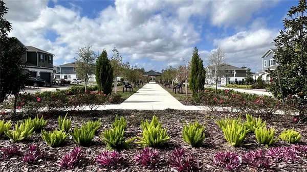 a view of a garden with flowers