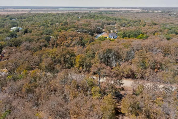 a view of a yard with a plants