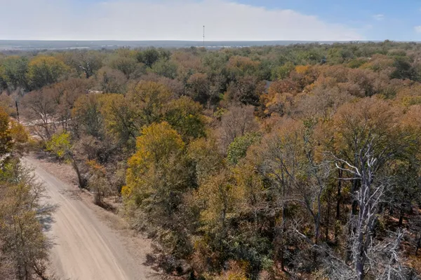 an aerial view of forest